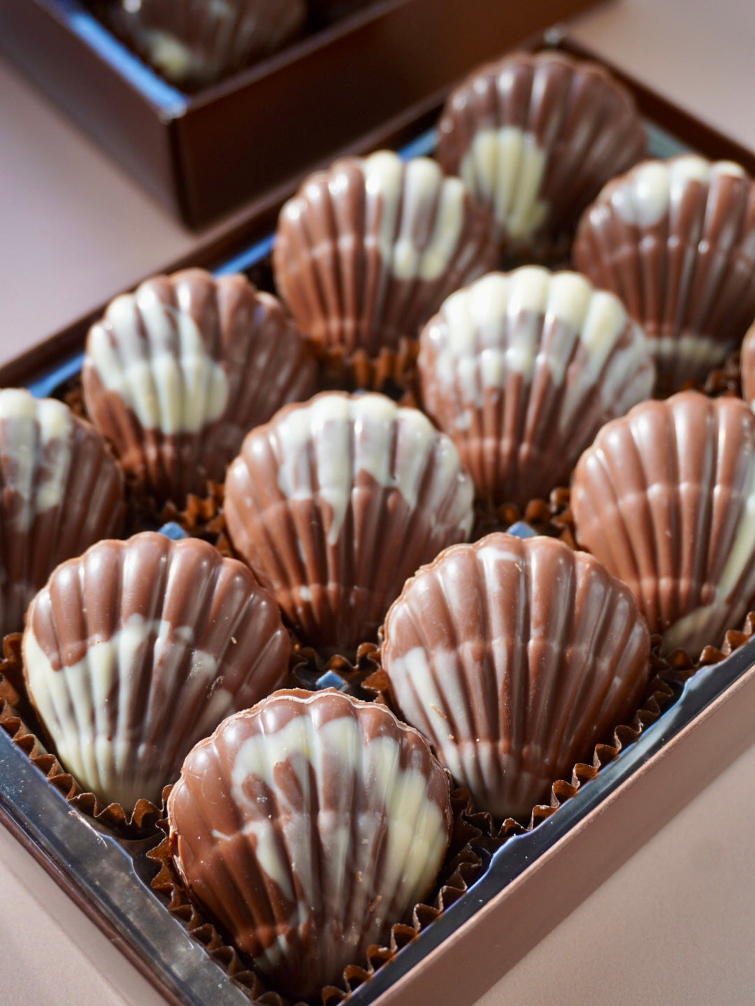Hazelnut Praline Seashells