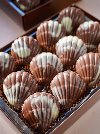 Hazelnut Praline Seashells