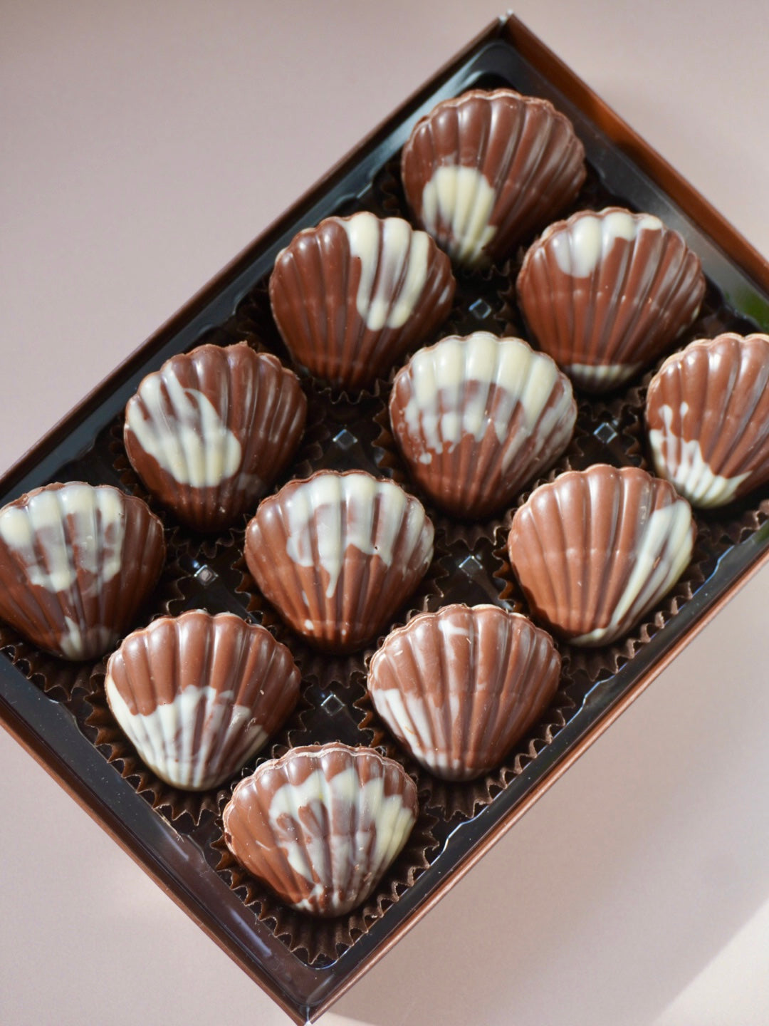 Hazelnut Praline Seashells