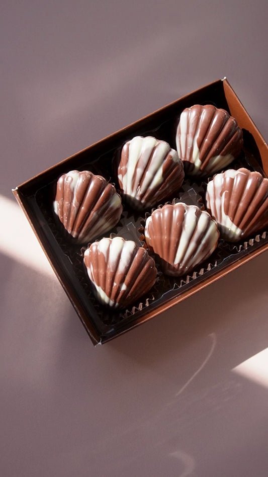 Hazelnut Praline Seashells